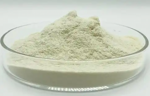 Chitosan Medical Materials