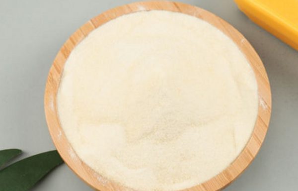 Chitosan Powder